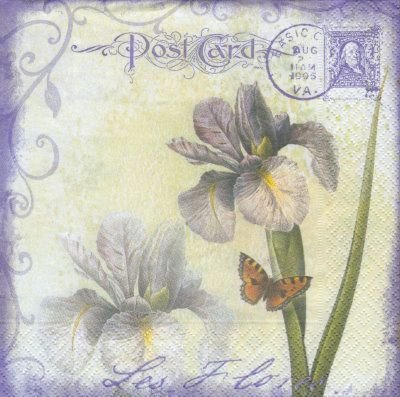 Iris flower